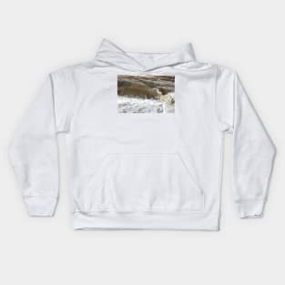 South La Jolla Patterns Kids Hoodie